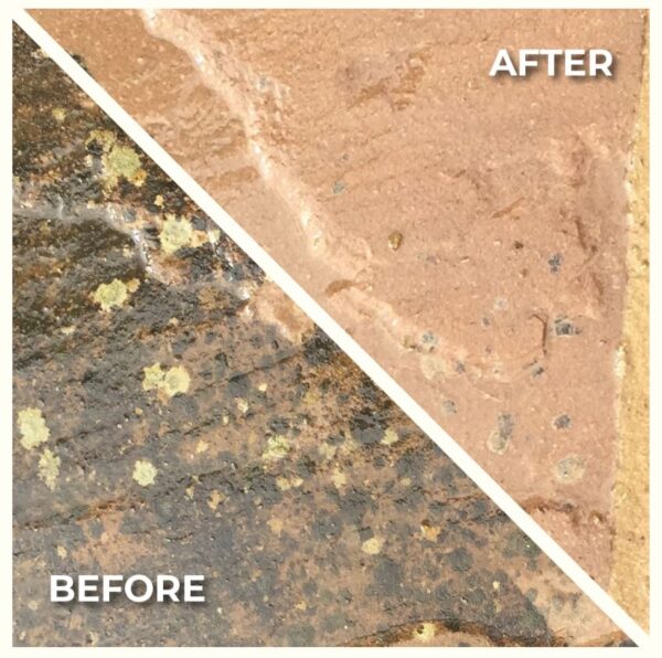 before and after jpg
