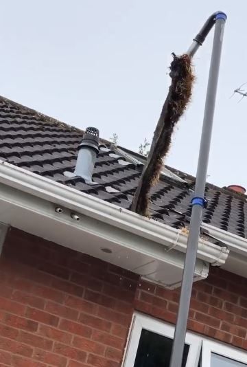 elite pole action shot turf picture 1 jpg